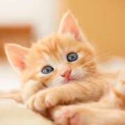 ヒメ日記 2025/10/27 22:19 投稿 東野 MadameRest(マダムレスト)