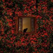 ヒメ日記 2025/10/29 23:25 投稿 東野 MadameRest(マダムレスト)