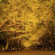 ヒメ日記 2025/11/01 09:49 投稿 東野 MadameRest(マダムレスト)