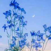 ヒメ日記 2025/11/01 22:13 投稿 東野 MadameRest(マダムレスト)