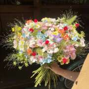 ヒメ日記 2025/11/02 12:12 投稿 東野 MadameRest(マダムレスト)