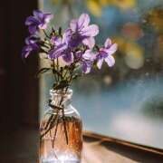 ヒメ日記 2025/11/04 23:31 投稿 東野 MadameRest(マダムレスト)