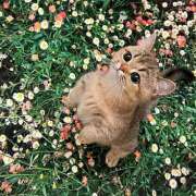 ヒメ日記 2025/11/06 11:57 投稿 東野 MadameRest(マダムレスト)