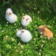 ヒメ日記 2025/11/08 23:13 投稿 東野 MadameRest(マダムレスト)