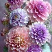 ヒメ日記 2025/11/23 22:29 投稿 東野 MadameRest(マダムレスト)