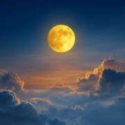 ヒメ日記 2025/11/26 22:36 投稿 東野 MadameRest(マダムレスト)