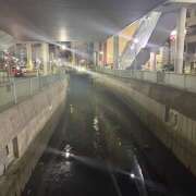 ヒメ日記 2026/01/29 22:36 投稿 東野 MadameRest(マダムレスト)