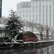 ヒメ日記 2026/02/08 12:57 投稿 東野 MadameRest(マダムレスト)