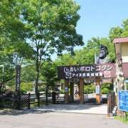 ヒメ日記 2026/02/21 00:08 投稿 東野 MadameRest(マダムレスト)