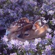 ヒメ日記 2026/03/02 22:19 投稿 東野 MadameRest(マダムレスト)