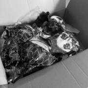 ヒメ日記 2026/03/04 12:02 投稿 東野 MadameRest(マダムレスト)