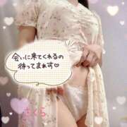 ヒメ日記 2025/08/28 11:59 投稿 さくら 素人妻達☆マイふぇらレディー