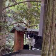 ヒメ日記 2025/07/17 23:40 投稿 さゆ 横浜人妻セレブリティ（ユメオト）