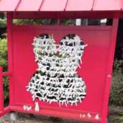 ヒメ日記 2025/07/18 09:41 投稿 さゆ 横浜人妻セレブリティ（ユメオト）