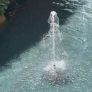 ヒメ日記 2025/08/19 10:24 投稿 さゆ 横浜人妻セレブリティ（ユメオト）