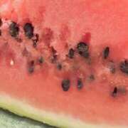 ヒメ日記 2025/09/11 09:54 投稿 さゆ 横浜人妻セレブリティ（ユメオト）