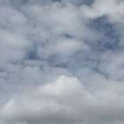 ヒメ日記 2025/10/13 15:39 投稿 さゆ 横浜人妻セレブリティ（ユメオト）