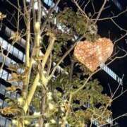 ヒメ日記 2025/11/20 23:58 投稿 さゆ 横浜人妻セレブリティ（ユメオト）