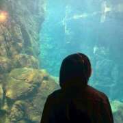 ヒメ日記 2025/06/28 18:51 投稿 みさこ☆美乳スレンダー娘 じゃむじゃむ