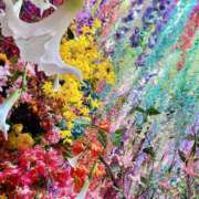 ヒメ日記 2025/12/31 15:21 投稿 湊いるか 洗体アカスリとHなスパのお店