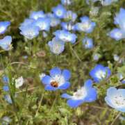 湊いるか 休日🌸 洗体アカスリとHなスパのお店
