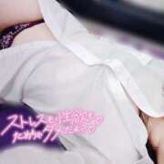 ヒメ日記 2025/08/14 12:56 投稿 みすず 三浦屋別館