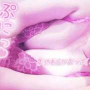 ヒメ日記 2025/09/15 13:26 投稿 みすず 三浦屋別館