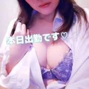 ヒメ日記 2025/09/25 08:00 投稿 みすず 三浦屋別館