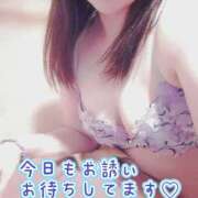 ヒメ日記 2025/11/08 08:36 投稿 みすず 三浦屋別館