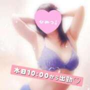 ヒメ日記 2025/11/11 09:16 投稿 みすず 三浦屋別館