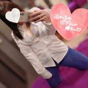 ヒメ日記 2025/11/13 18:30 投稿 みすず 三浦屋別館