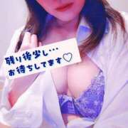 ヒメ日記 2025/11/14 17:16 投稿 みすず 三浦屋別館