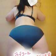 ヒメ日記 2025/11/15 12:53 投稿 みすず 三浦屋別館