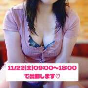 ヒメ日記 2025/11/21 20:06 投稿 みすず 三浦屋別館