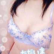 ヒメ日記 2025/11/23 09:36 投稿 みすず 三浦屋別館