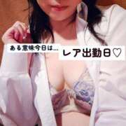 ヒメ日記 2025/11/23 11:00 投稿 みすず 三浦屋別館