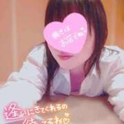 ヒメ日記 2025/11/29 14:36 投稿 みすず 三浦屋別館