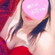 ヒメ日記 2025/12/12 06:56 投稿 みすず 三浦屋別館