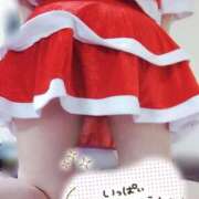 ヒメ日記 2025/12/13 12:29 投稿 みすず 三浦屋別館