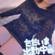 ヒメ日記 2025/12/16 09:26 投稿 みすず 三浦屋別館