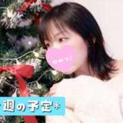 ヒメ日記 2025/12/20 07:46 投稿 みすず 三浦屋別館