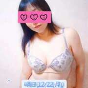 ヒメ日記 2025/12/21 16:36 投稿 みすず 三浦屋別館