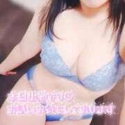 ヒメ日記 2026/03/08 08:47 投稿 みすず 三浦屋別館