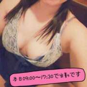 ヒメ日記 2026/04/03 08:36 投稿 みすず 三浦屋別館