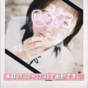 ヒメ日記 2026/04/05 08:46 投稿 みすず 三浦屋別館