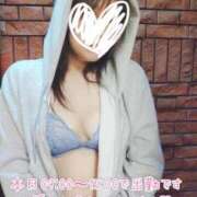 ヒメ日記 2026/04/06 08:26 投稿 みすず 三浦屋別館