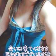 ヒメ日記 2026/04/27 15:26 投稿 みすず 三浦屋別館