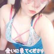 ヒメ日記 2026/05/05 18:16 投稿 みすず 三浦屋別館