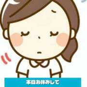 みすず ゆっくりします🥲 三浦屋別館