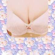 ヒメ日記 2025/07/03 06:38 投稿 野村　晴美 ミセス・レヴォアール～再会～